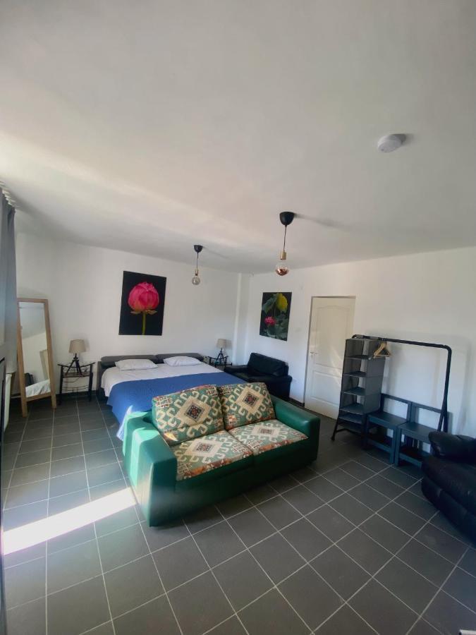 Arokto River House - Luxury House On The Border Of The Tisza River מראה חיצוני תמונה